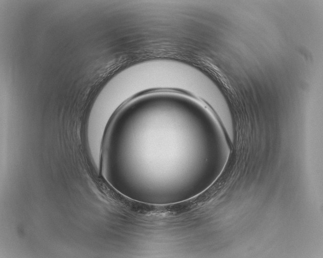 X0000115520213200911201706