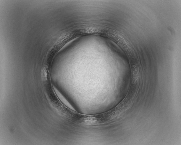 X0000115520214200911201706