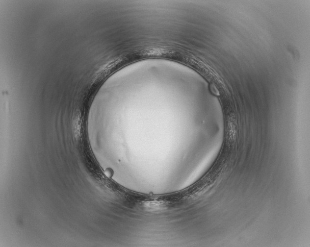 X0000115520216200911201706