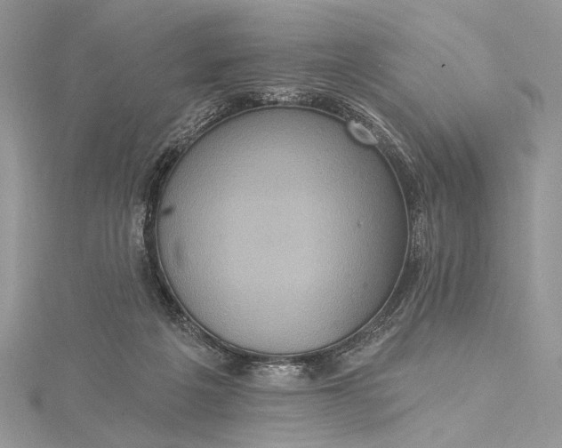 X0000115520217200911201706