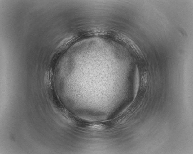 X0000115520218200911201706