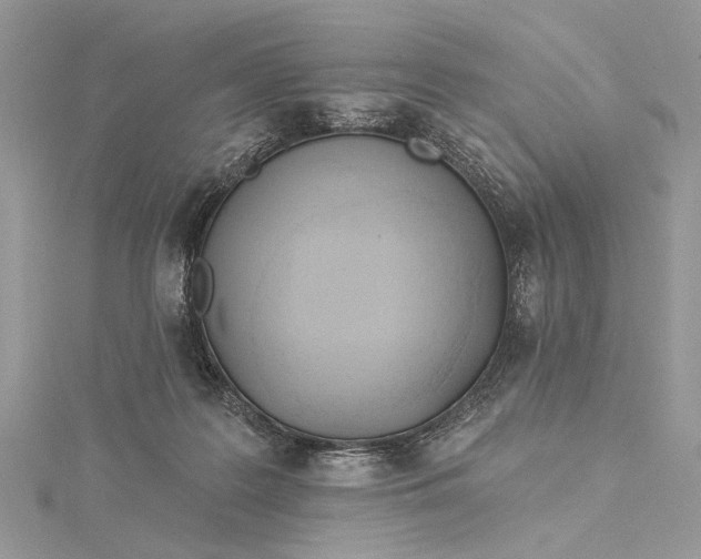 X0000115520219200911201706