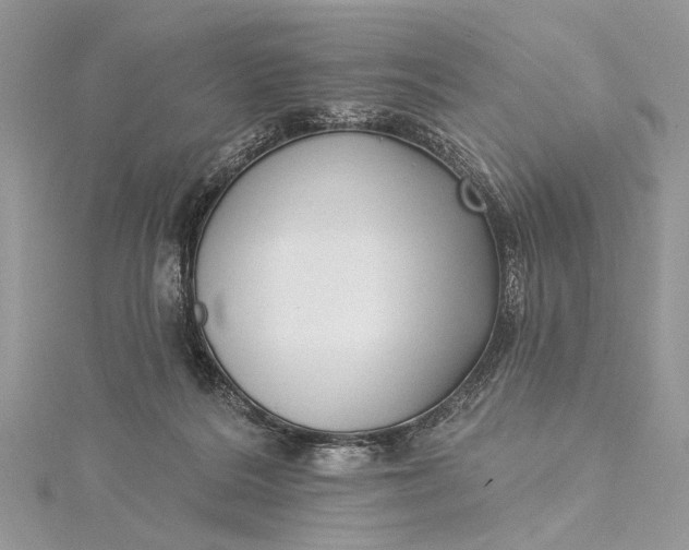 X0000115520220200911201706