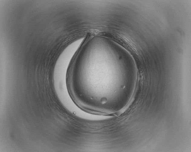 X0000115520221200911201706