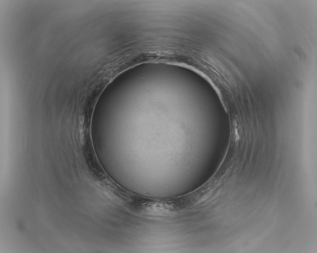 X0000115520223200911201706