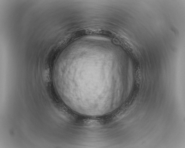 X0000115520224200911201706