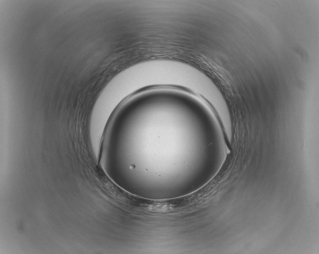 X0000115520225200911201706