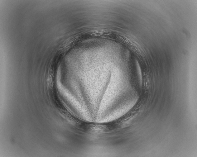 X0000115520226200911201705