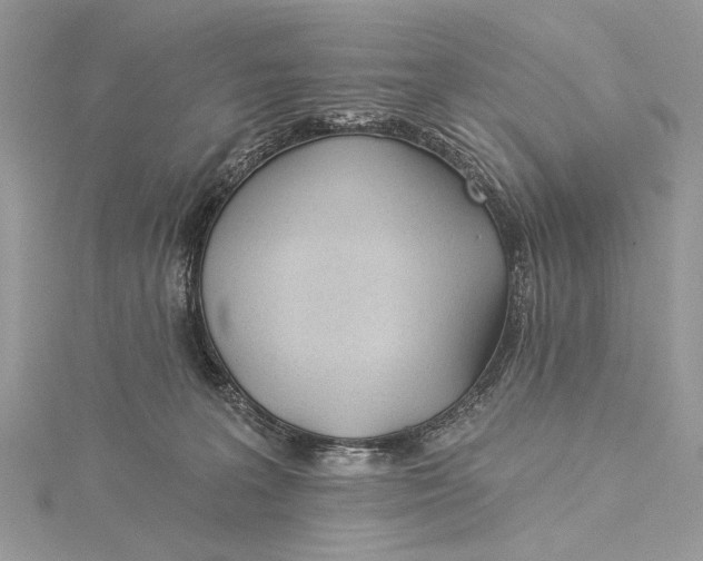 X0000115520227200911201705