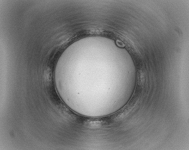 X0000115520228200911201705