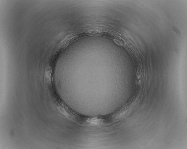 X0000115520231200911201705