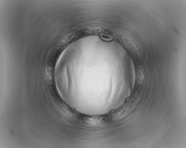 X0000115520232200911201705