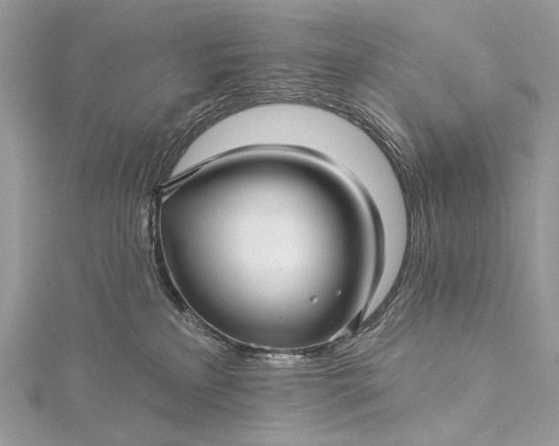 X0000115520233200911201705