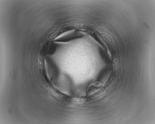 X0000115520234200911201705