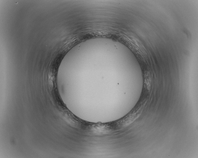 X0000115520235200911201705