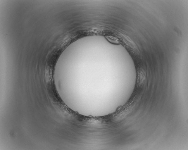 X0000115520236200911201705