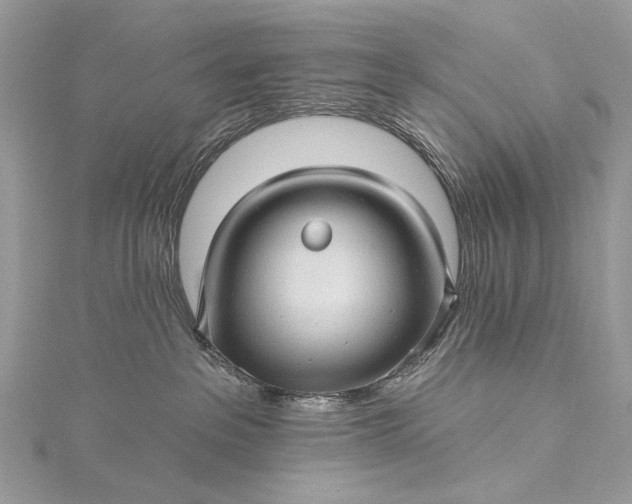 X0000115520237200911201705