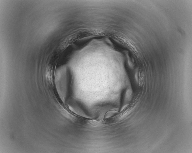 X0000115520238200911201705