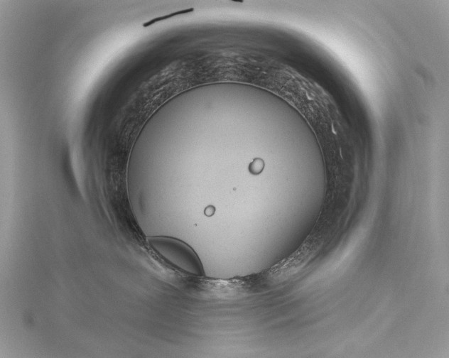 X0000115520239200911201705