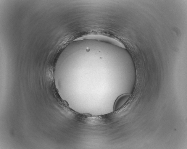 X0000115520240200911201705