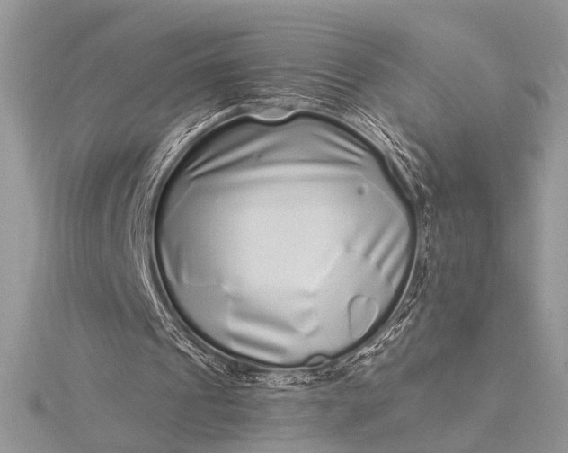 X0000115520241200911201705