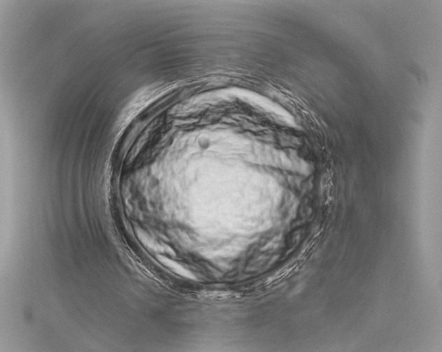 X0000115520242200911201705