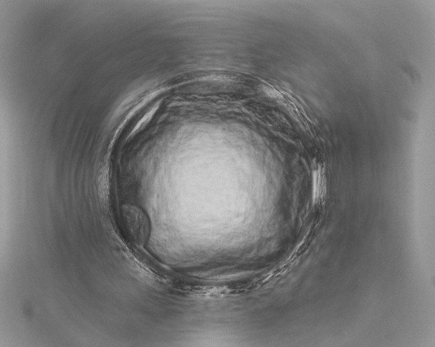 X0000115520243200911201705