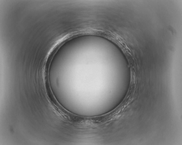 X0000115520244200911201705