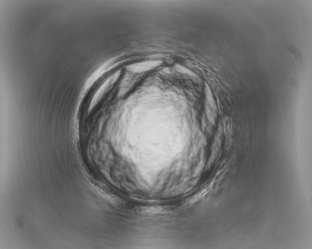 X0000115520246200911201705