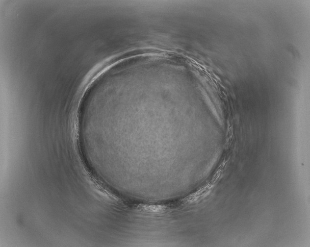 X0000115520247200911201705