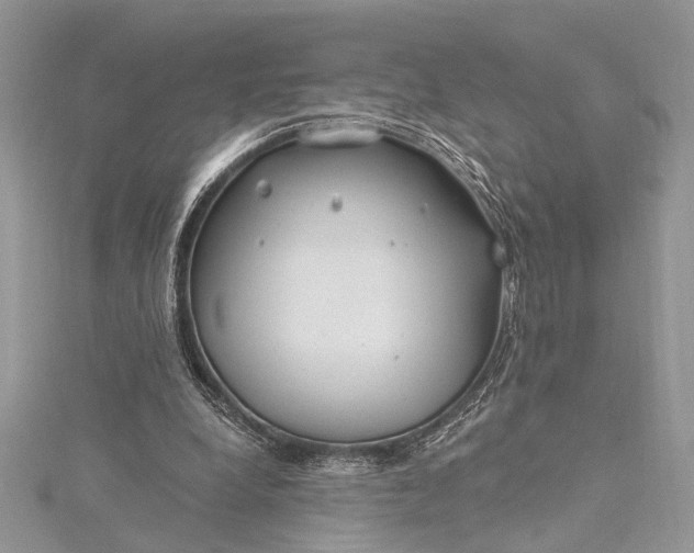 X0000115520248200911201705