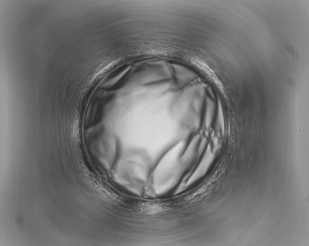 X0000115520249200911201705