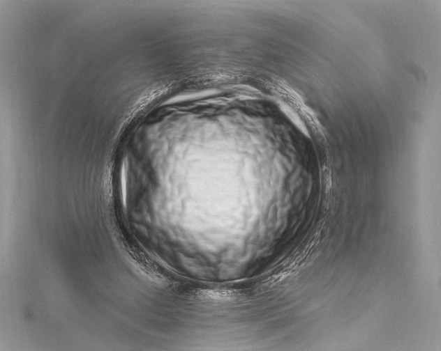 X0000115520250200911201705