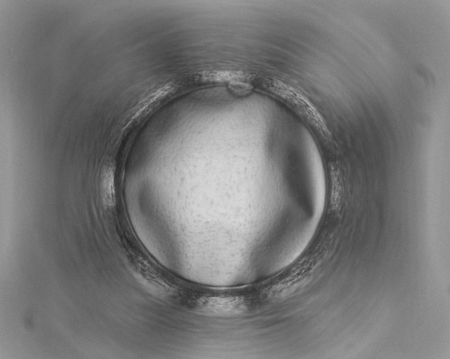 X0000115520251200911201705