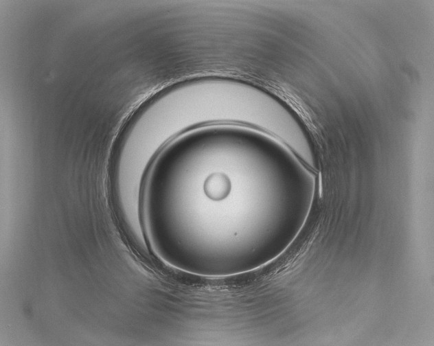 X0000115520252200911201705