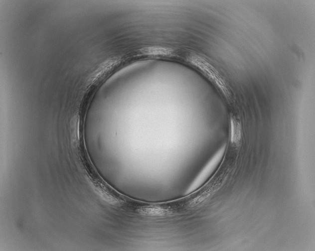 X0000115520253200911201705