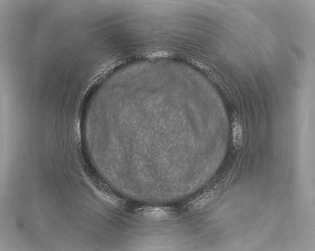 X0000115520254200911201705