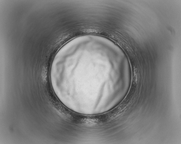 X0000115520255200911201705