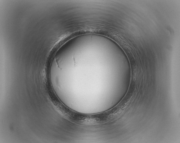 X0000115520256200911201705