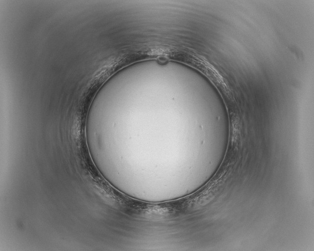 X0000115520257200911201705