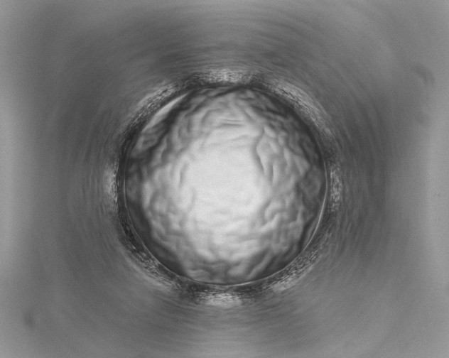 X0000115520258200911201705