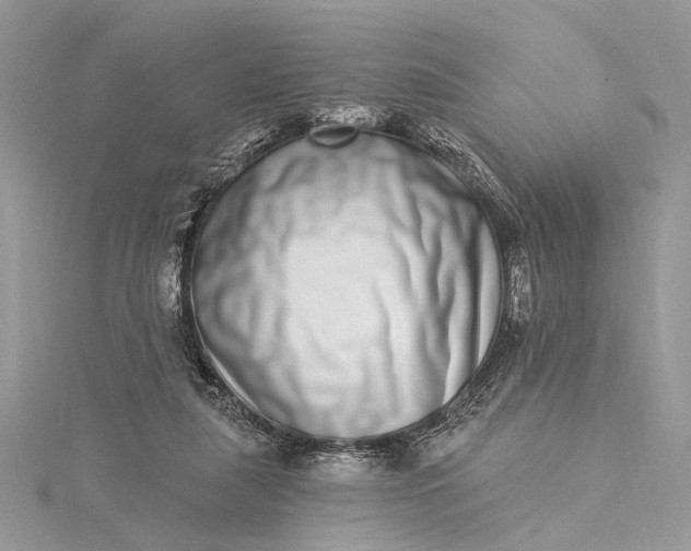 X0000115520259200911201705