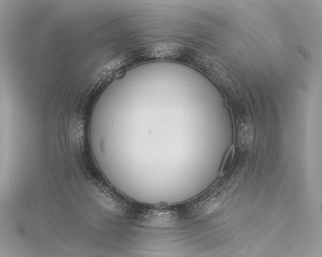 X0000115520260200911201705