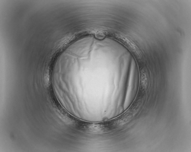 X0000115520261200911201705