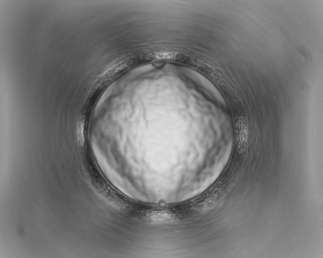 X0000115520262200911201705