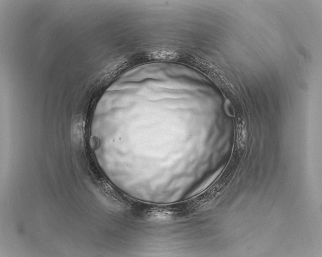 X0000115520263200911201705