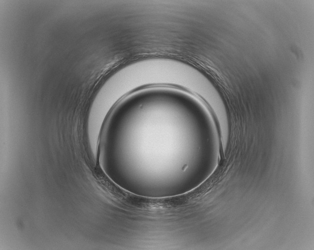 X0000115520264200911201705