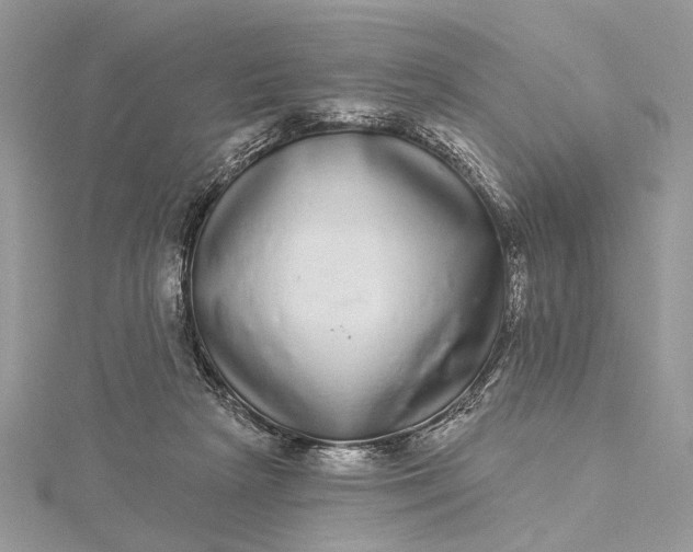 X0000115520265200911201705