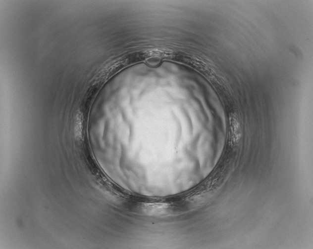 X0000115520266200911201705