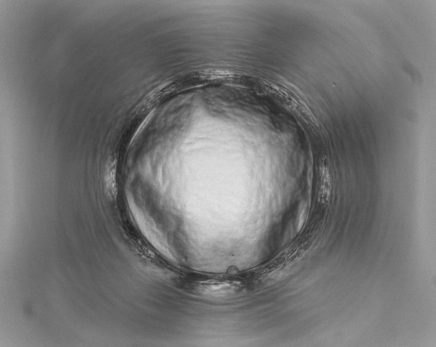 X0000115520267200911201705